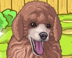 play Cute Poodle Puppy