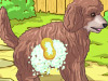 play Cute Poodle Puppy