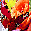 play Flowers And Butterfly Puzzle