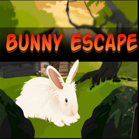 play Bunny Escape