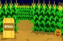 Hooda Escape - Corn Maze