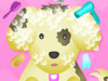 play Royal Pets Grooming