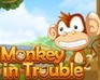 play Monkey In Trouble