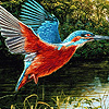 play Fisher Birds Puzzle