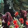 play Bear Family In The Jungle Slide Puzzle