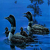 play Black Ducks In The Lake Slide Puzzle