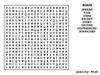 Word Search 13