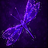play Purple Dragonfly Slide Puzzle