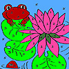 Lotus Garden And Frogs Coloring