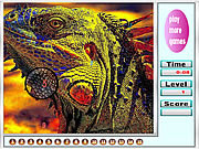 play Wild Colorful Iguanas Hidden Numbers