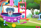 play Cute Puppy Care