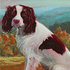 play Cute Farm Dogs Puzzle