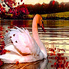 play Swan In The Autumn Puzzle