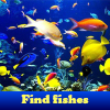play Find Fishes. Find Objects