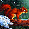 play Squirrel In The Winter Slide Puzzle