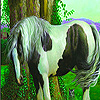 play Horse In The Garden Slide Puzzle