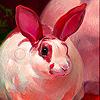 Red Ear Rabbit Slide Puzzle