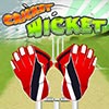 play Cricket Wicket