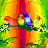 play Colorful Parrots Family Slide Puzzle