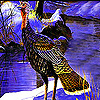 Alone Pheasant In The Woods Puzzle