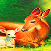 Mother And Baby Deer Puzzle