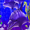 play Dolphins And Seahorse Puzzle