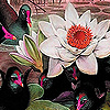 play Black Ducks And Lotus Puzzle