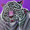 play Lovely Tigers Family Puzzle
