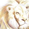 play King Lion Puzzle