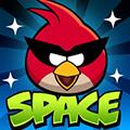 Angry Birds Space Pc
