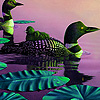 play Black Ducks In The Lake Puzzle