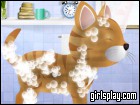 play Kitty Grooming Salon