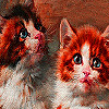 play Cute Kittens Puzzle