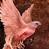play Sweet Pink Dove Puzzle