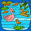 play Funny Duck Family In The Lake Coloring