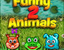 Funny Animals 2