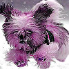 play Cute Puppy On The Snow Puzzle
