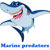 Marine Predators