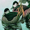 play Green Ducks In The Lake Puzzle