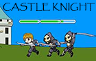 Castle Knight