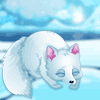play Arctic Foxes