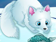 play Arctic Foxes