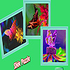 play Flower And Butterfly Puzzle