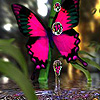 play Butterfly In The Reeds Puzzle