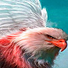 play White Eagle Puzzle