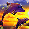play Blue Dolphins In Island Puzzle
