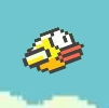 Flappy Bird Flash