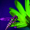 play Purple Bee In Garden Puzzle