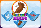 play Birds Coloring Book