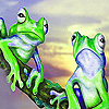 play Baffled Frogs Puzzle